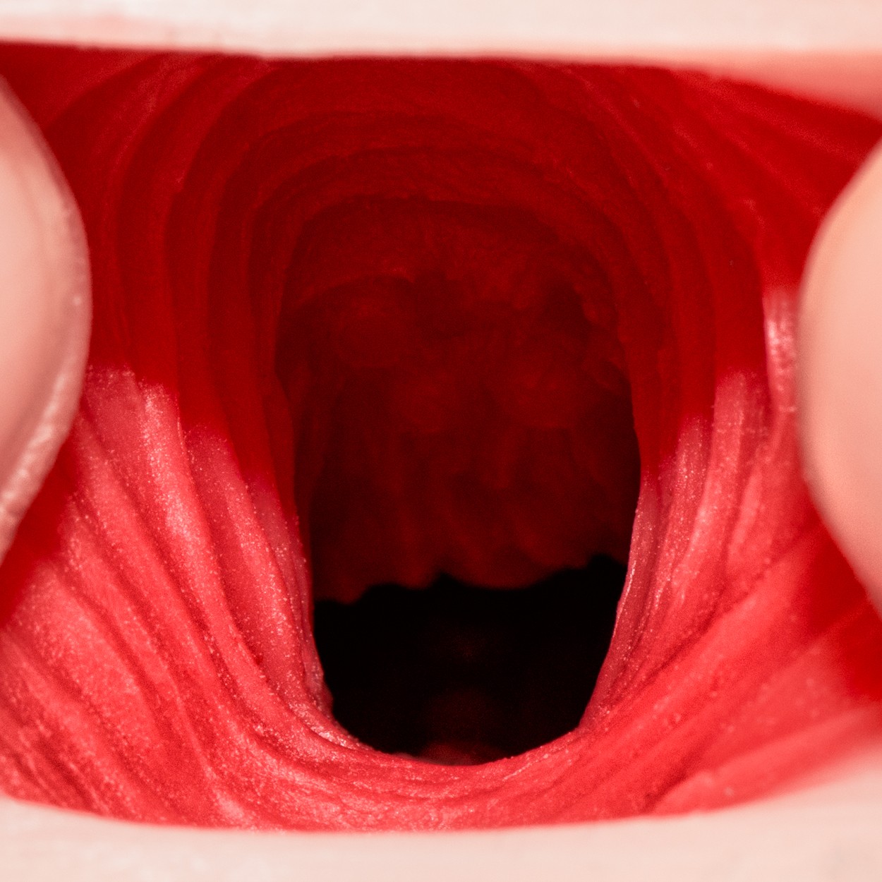 Spider Roxx Detail 3